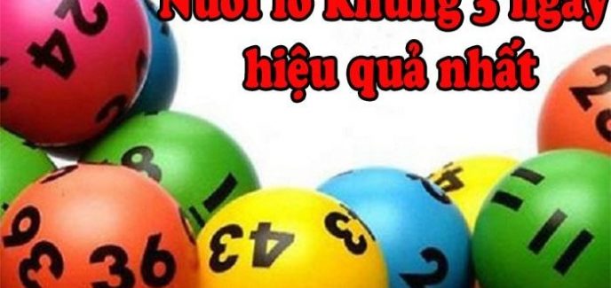 Cách phân bố vốn nuôi lô 3 ngày hiệu quả